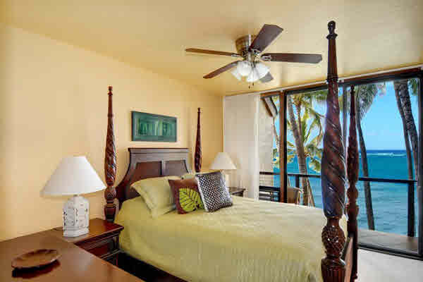 1677 Pe'e Road, Unit A3 Koloa, HI 96756 - Photo 7 of 12 Gallery Image 7