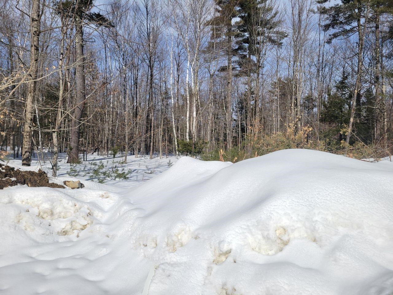 L26-2 Brackett Road New Durham, NH 03855 - Photo 21 of 26