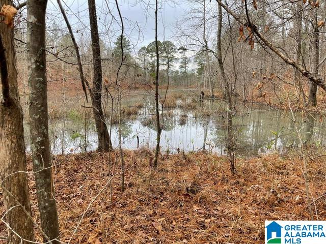 0 Deaver Walker Road Trafford, AL 35172 - Photo 19 of 28