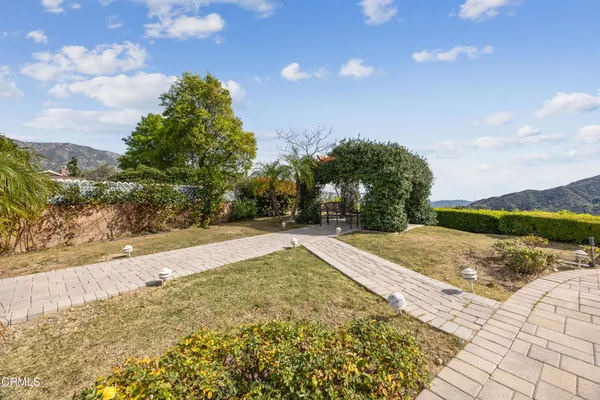 a view of a yard with plants and trees