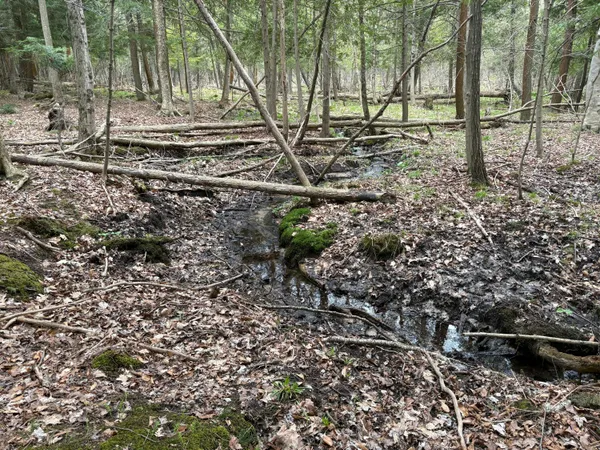 $70,000 | 2.27-acres West Shelby Road, Shelby, MI 49455