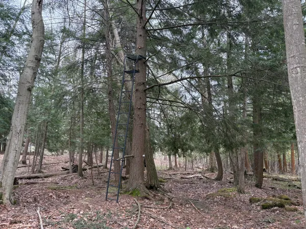 $70,000 | 2.27-acres West Shelby Road, Shelby, MI 49455