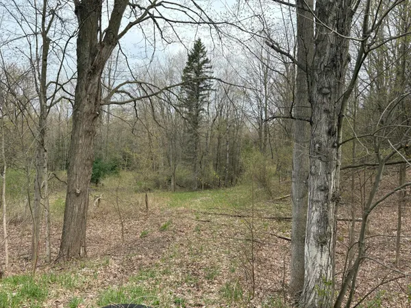 $70,000 | 2.27-acres West Shelby Road, Shelby, MI 49455