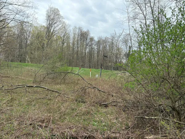 $70,000 | 2.27-acres West Shelby Road, Shelby, MI 49455