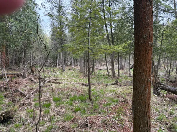 $70,000 | 2.27-acres West Shelby Road, Shelby, MI 49455