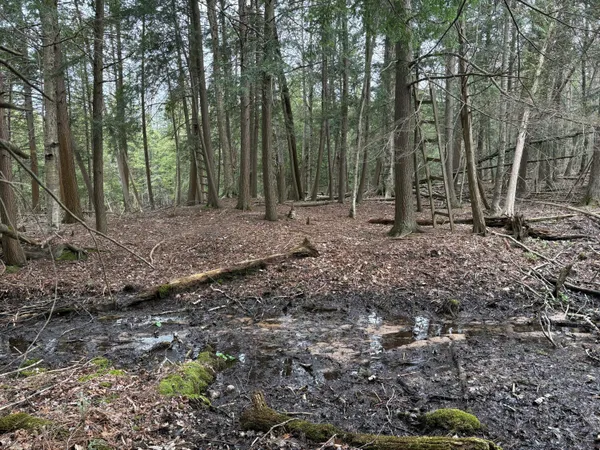 $70,000 | 2.27-acres West Shelby Road, Shelby, MI 49455