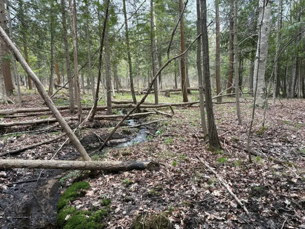 $70,000 | 2.27-acres West Shelby Road, Shelby, MI 49455