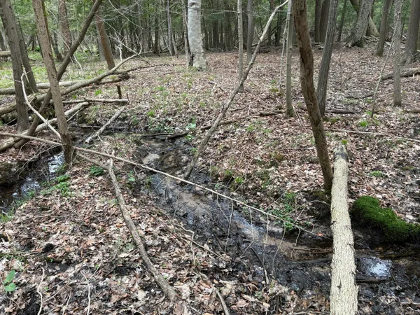 $70,000 | 2.27-acres West Shelby Road, Shelby, MI 49455
