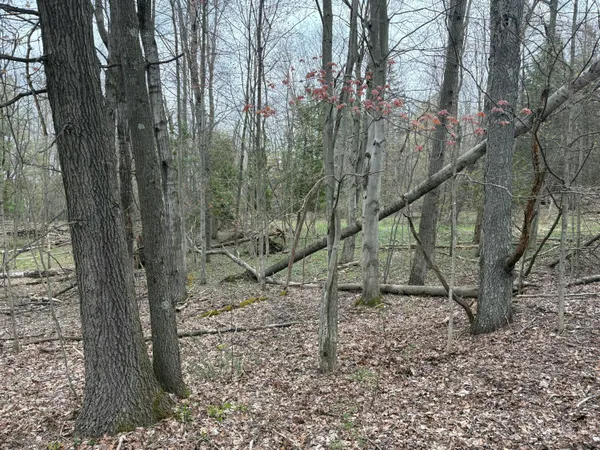 $70,000 | 2.27-acres West Shelby Road, Shelby, MI 49455