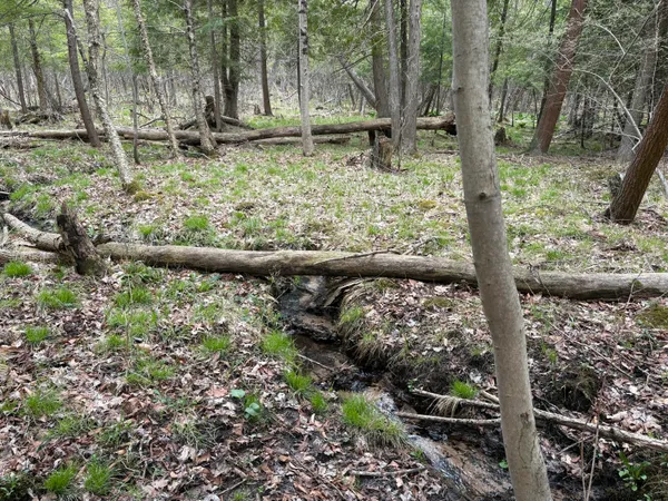 $70,000 | 2.27-acres West Shelby Road, Shelby, MI 49455