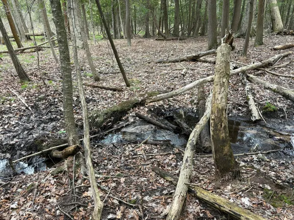 $70,000 | 2.27-acres West Shelby Road, Shelby, MI 49455
