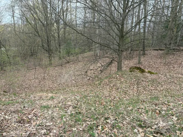 $70,000 | 2.27-acres West Shelby Road, Shelby, MI 49455