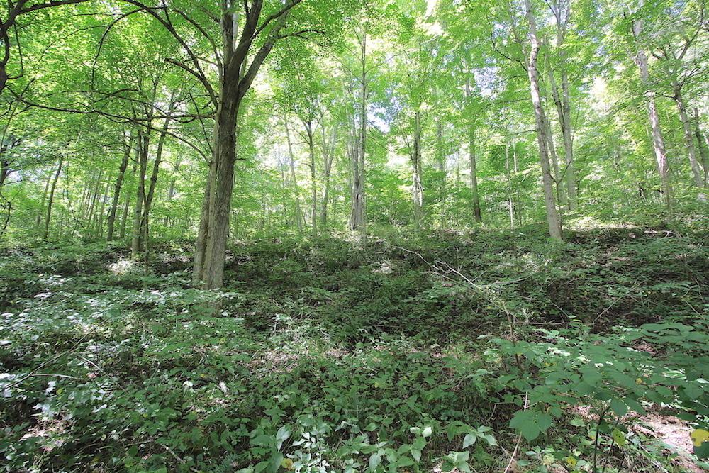 0 Pleasant Valley Road Vinton, OH 45686 - Photo 20 of 30