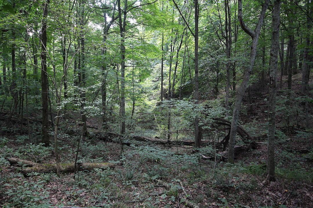 0 Pleasant Valley Road Vinton, OH 45686 - Photo 23 of 30