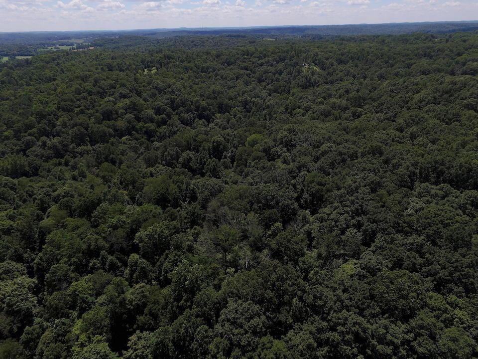0 Pleasant Valley Road Vinton, OH 45686 - Photo 7 of 30