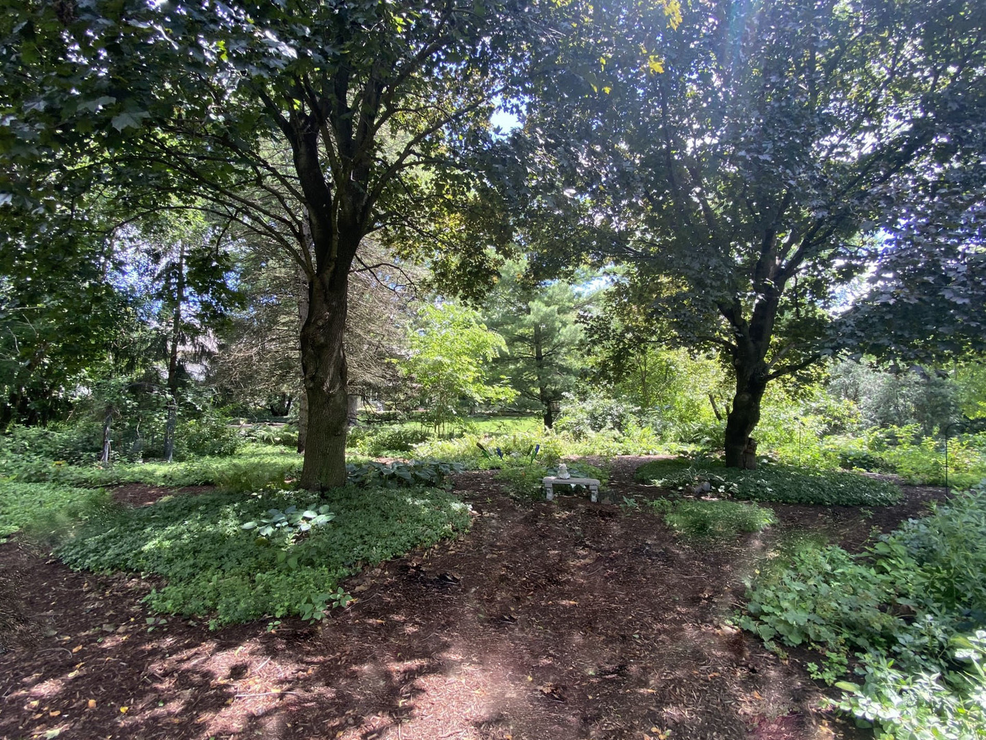 514 Post Road St. Charles, IL 60174 - Photo 6 of 6