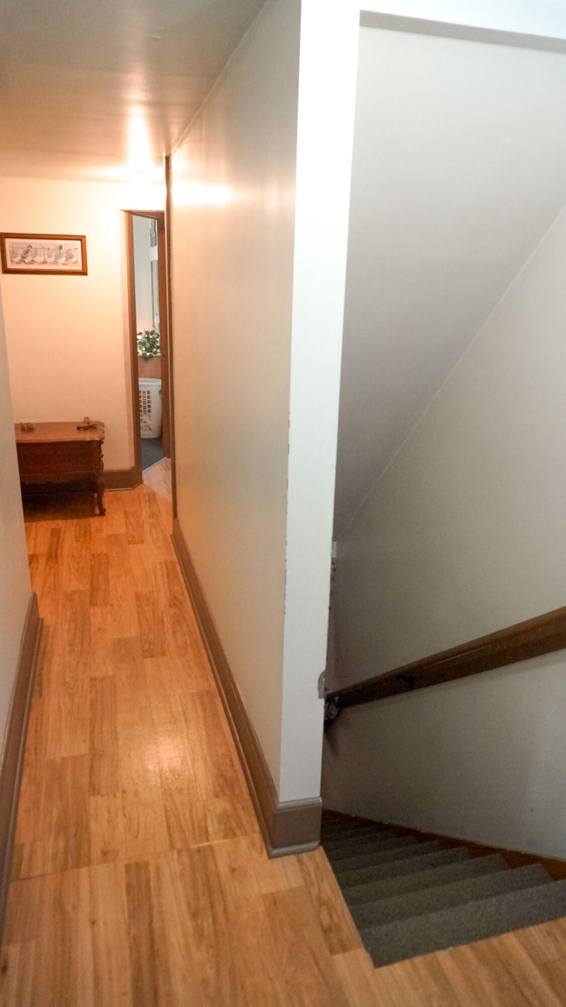 965 Turkey Creek Road Windsor, KY 42565 - Photo 26 of 65 CaseyCounty-099