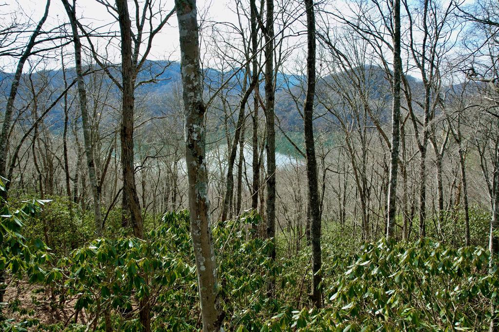 Tbd Tbd Zimmerman / Holly Ridge Road Topton, NC 28781 - Photo 1 of 7 Main View