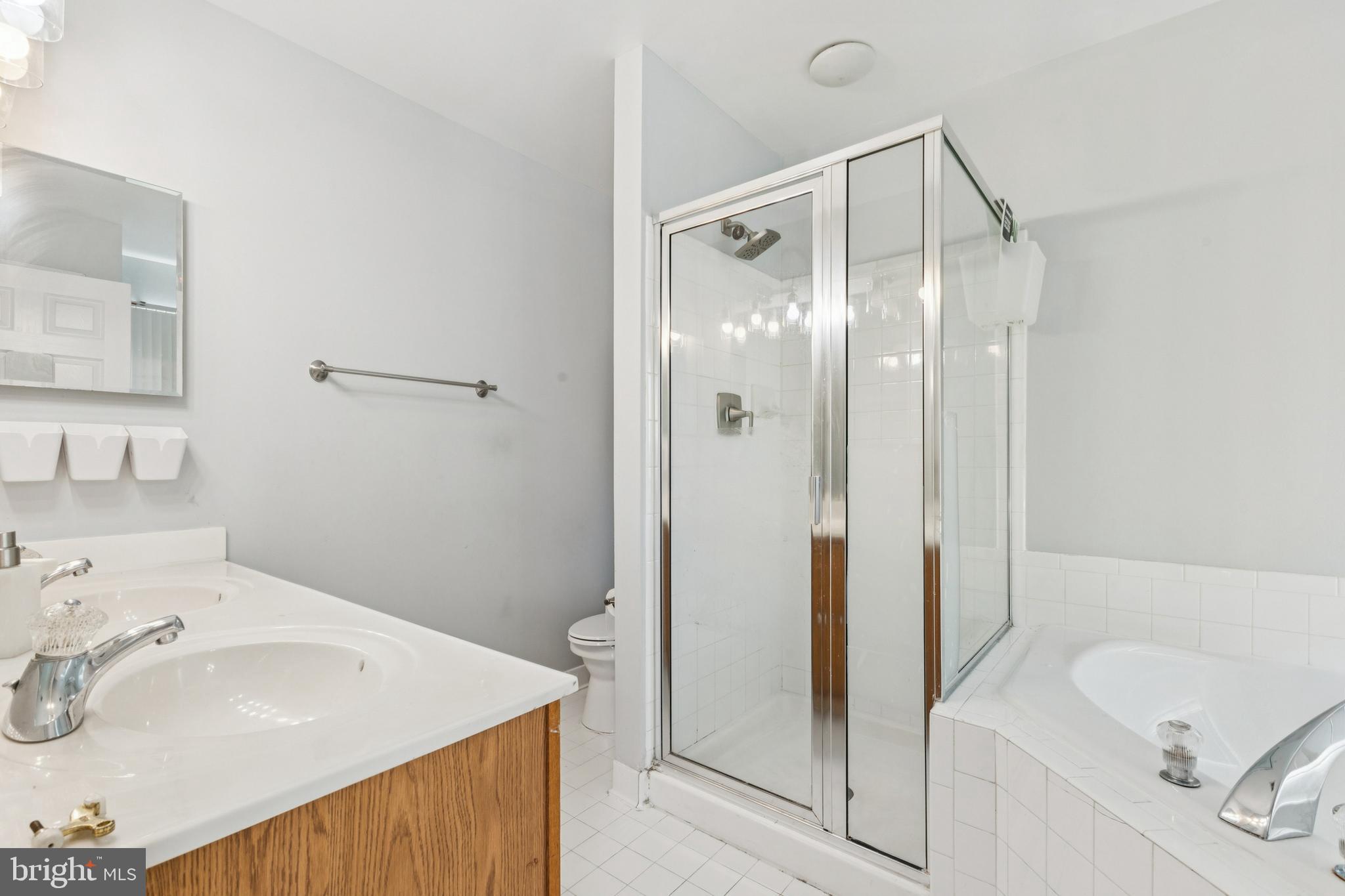 43067 Candlewick Square Leesburg, VA 20176 - Photo 19 of 25 a bathroom with a sink and a mirror