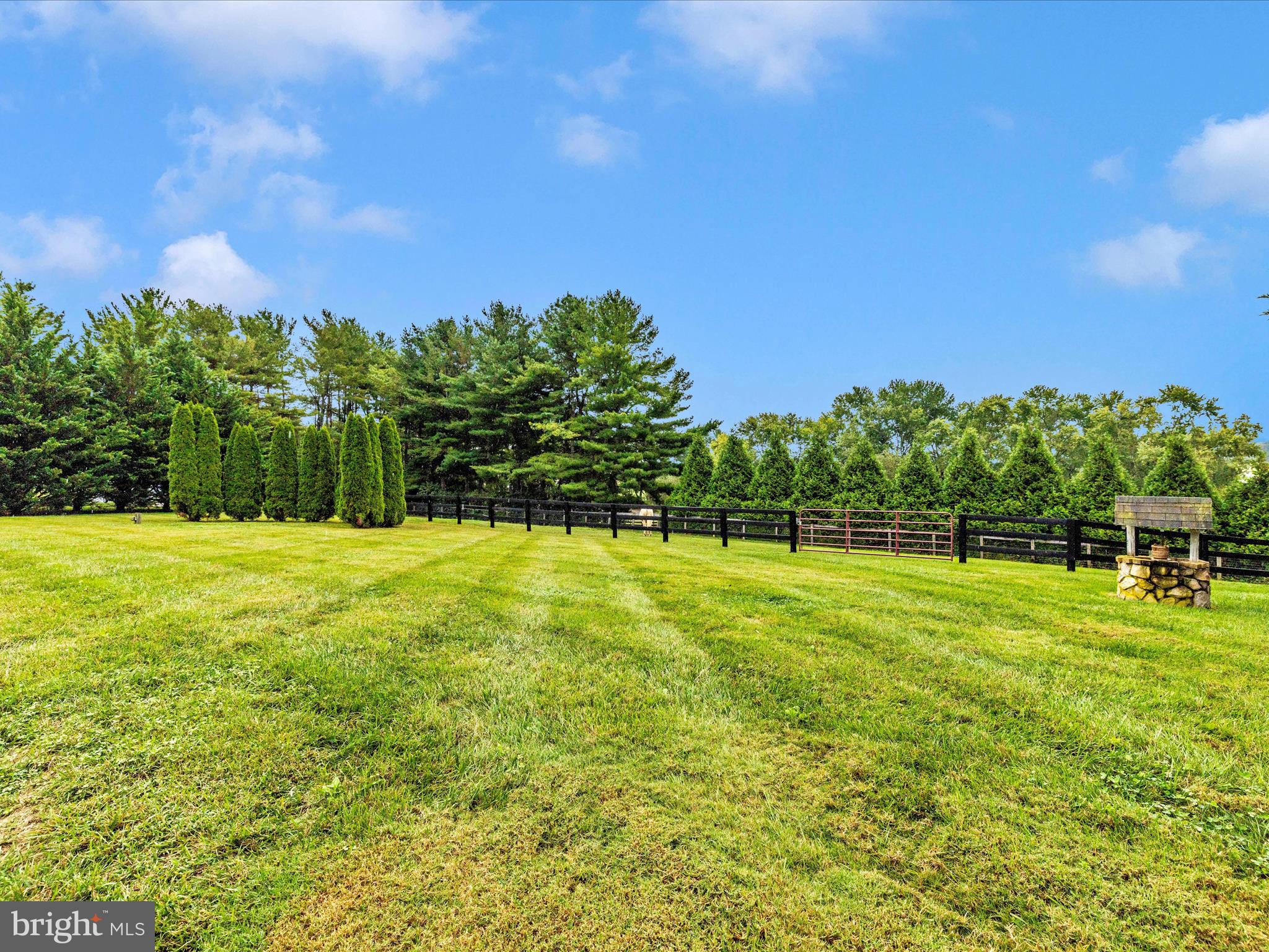 8429 Woodville Road Mount Airy, MD 21771 - Photo 51 of 75 a view of a yard with a house in the background