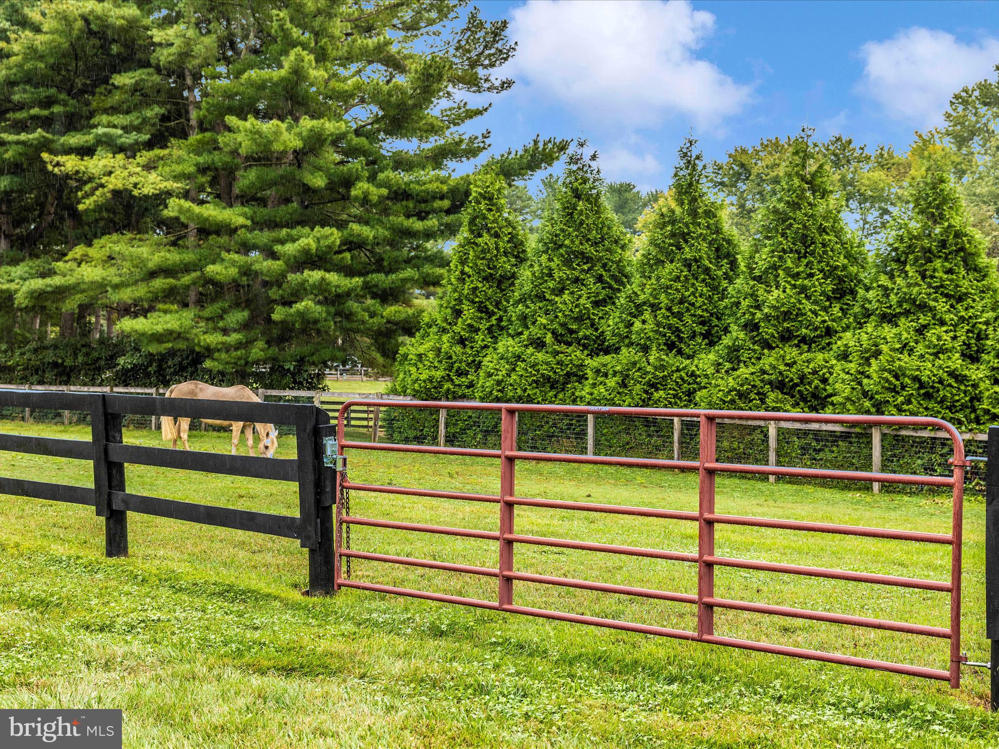 8429 Woodville Road Mount Airy, MD 21771 - Photo 53 of 75 a view of outdoor space and deck