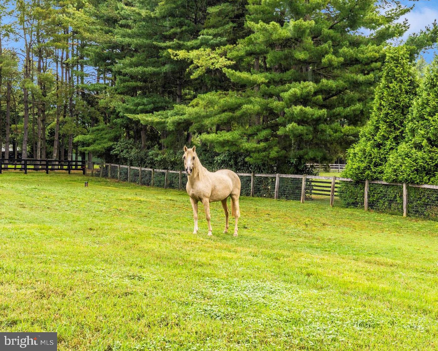 8429 Woodville Road Mount Airy, MD 21771 - Photo 54 of 75 Keep a horse, pony, steer, or small livestock