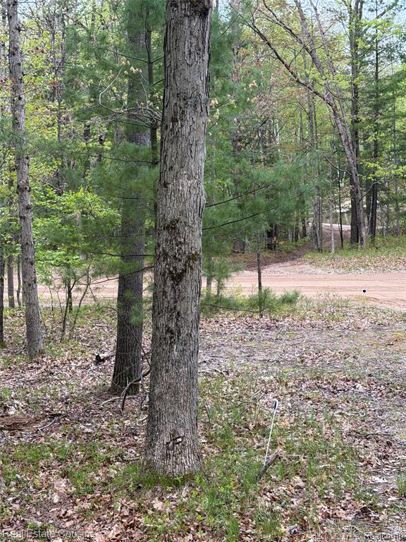 4701 Lake Road Farwell, MI 48622 - Photo 20 of 24