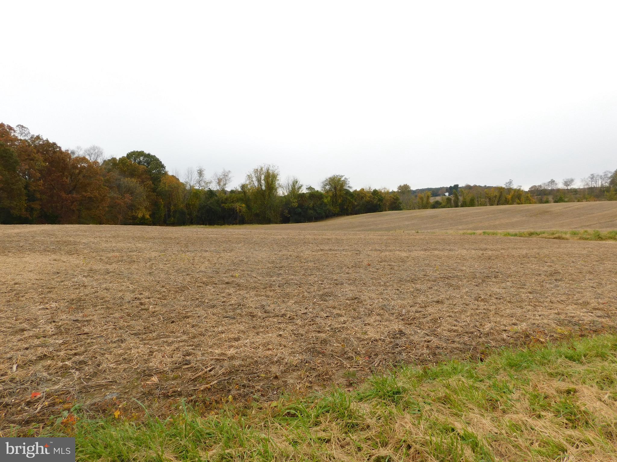 Jerry's Rd Street Street, MD 21154 - Photo 1 of 2 View of Crop Field