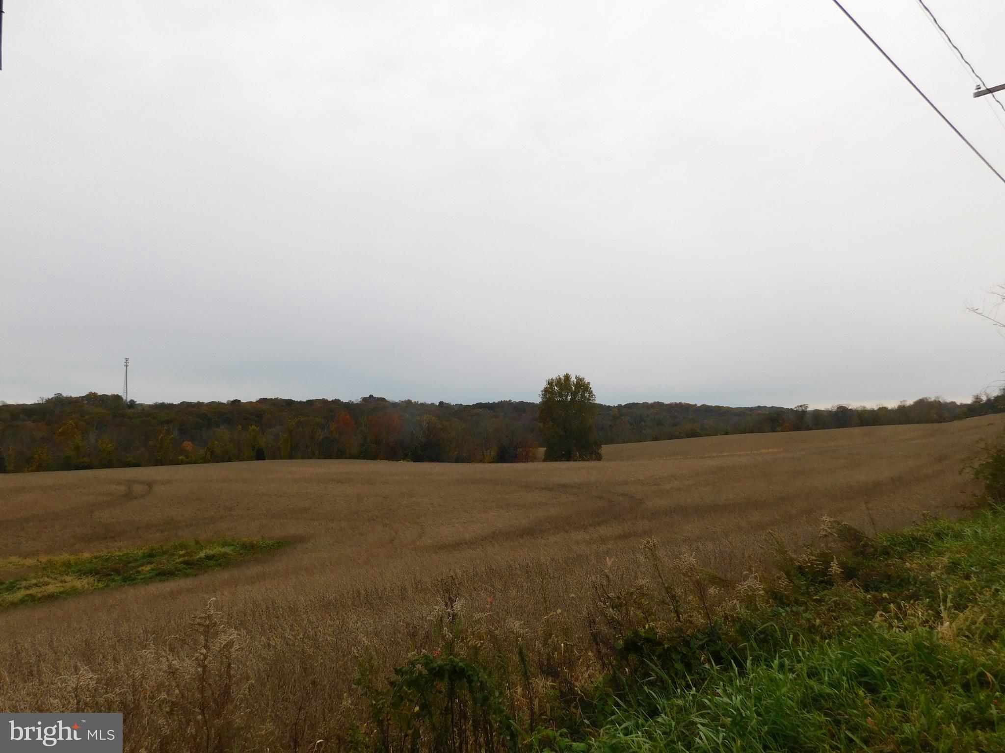 Jerry's Rd Street Street, MD 21154 - Photo 2 of 2 Crop Field and woodland