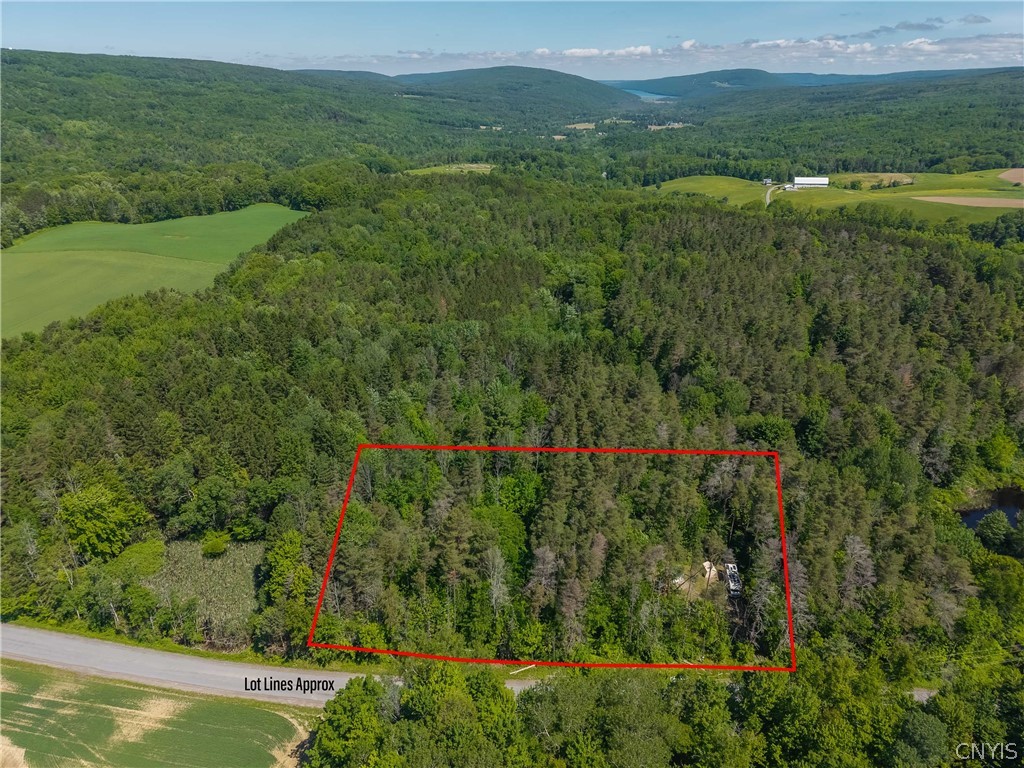 8804 Becker Road Springwater, NY 14572 - Photo 3 of 34