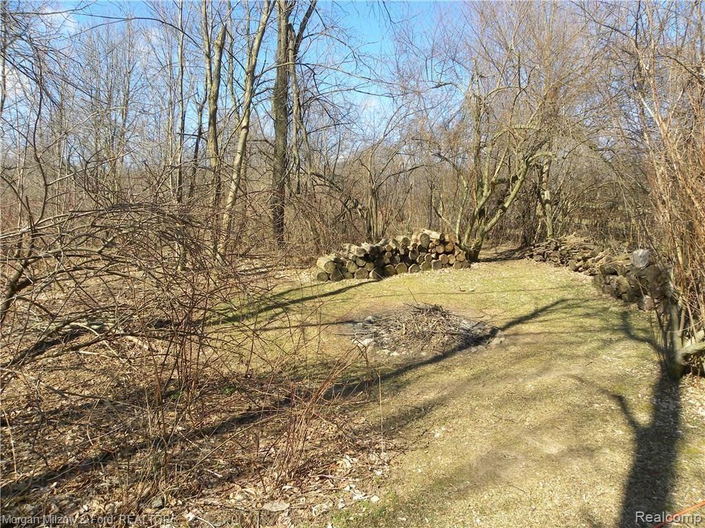 10237 Reese Road Clarkston, MI 48348 - Photo 45 of 56 DSCN1993.JPG