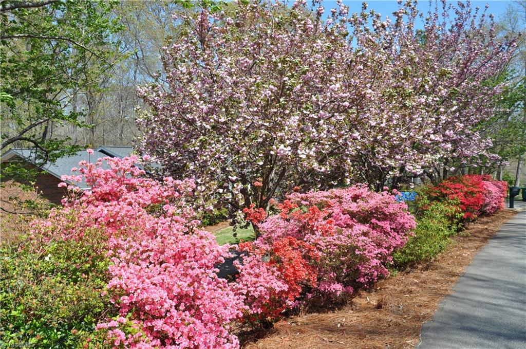 600 Pepperidge Road Lewisville, NC 27023 - Photo 25 of 27 Gallery Image 25