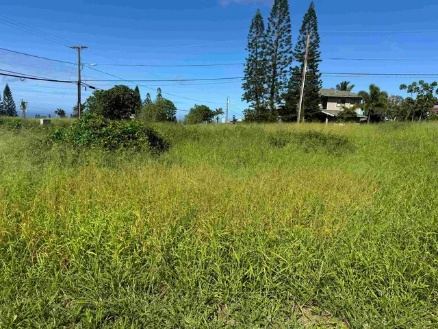 $99,000 | Puunana Street, Unit 723, Maunaloa, HI 96770