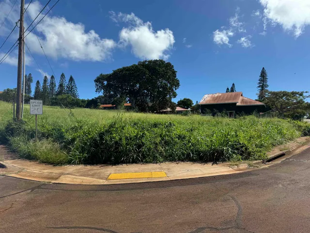 $99,000 | Puunana Street, Unit 723, Maunaloa, HI 96770