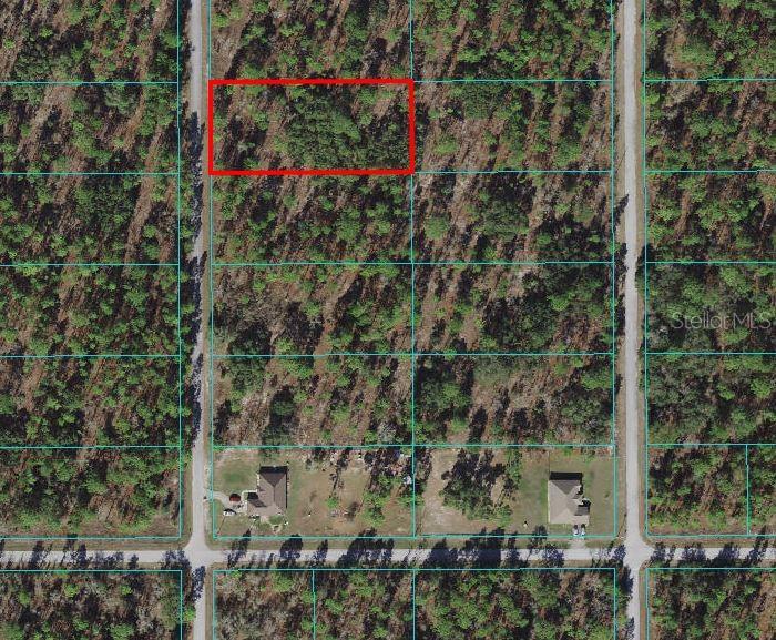 Tbd Northwest Holly Road Dunnellon, FL 34431 - Photo 1 of 1