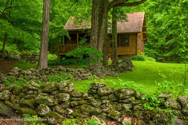 a view of a garden with plants