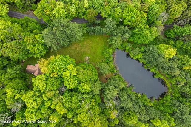 a view of a garden with a lake