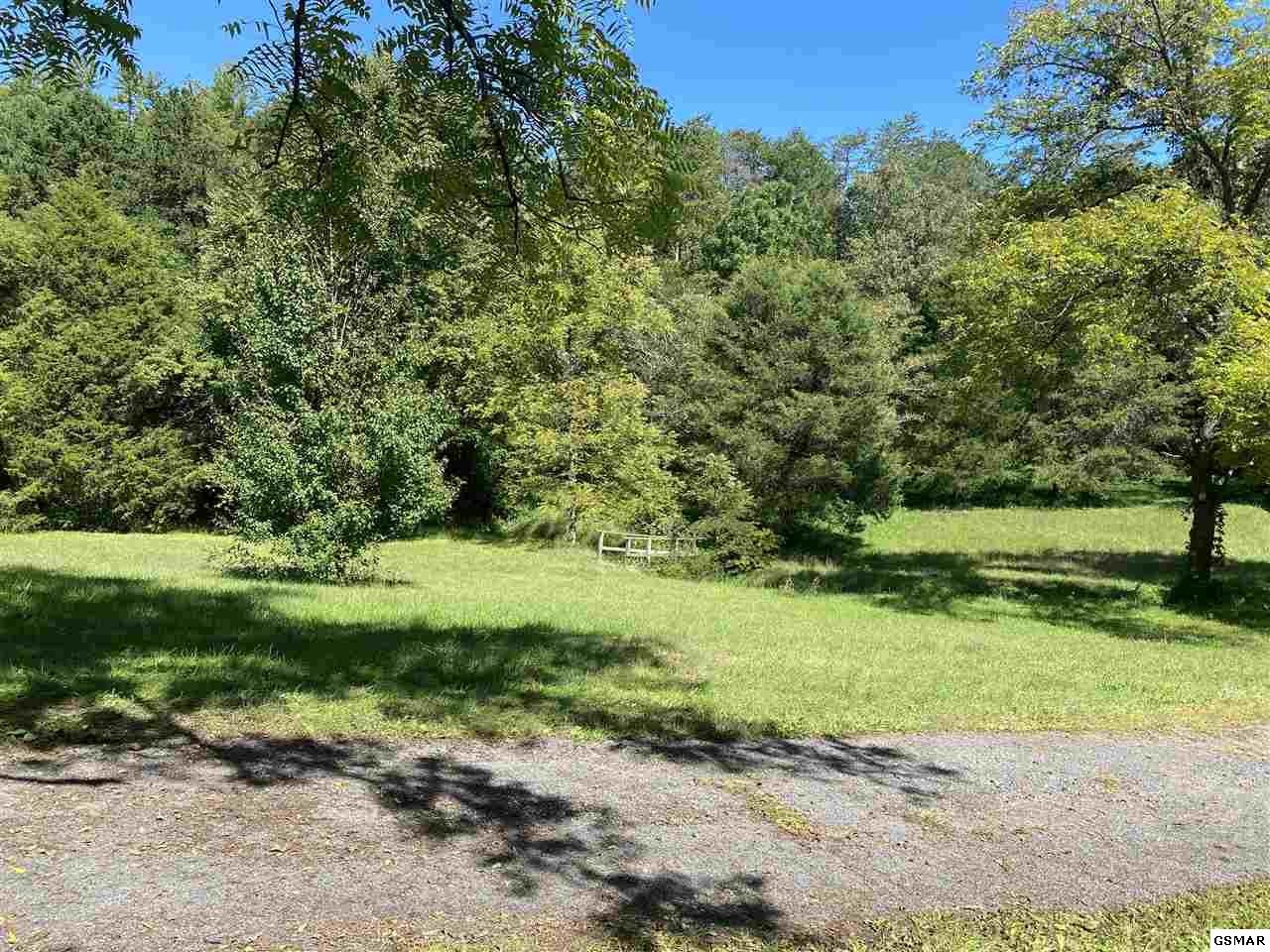 909 Stinnett Ridge Road Cosby, TN 37722 - Photo 10 of 35