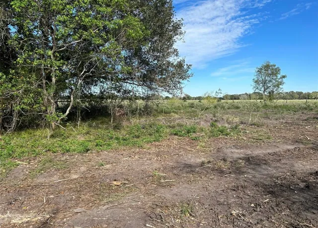 a view of a garden with a tree