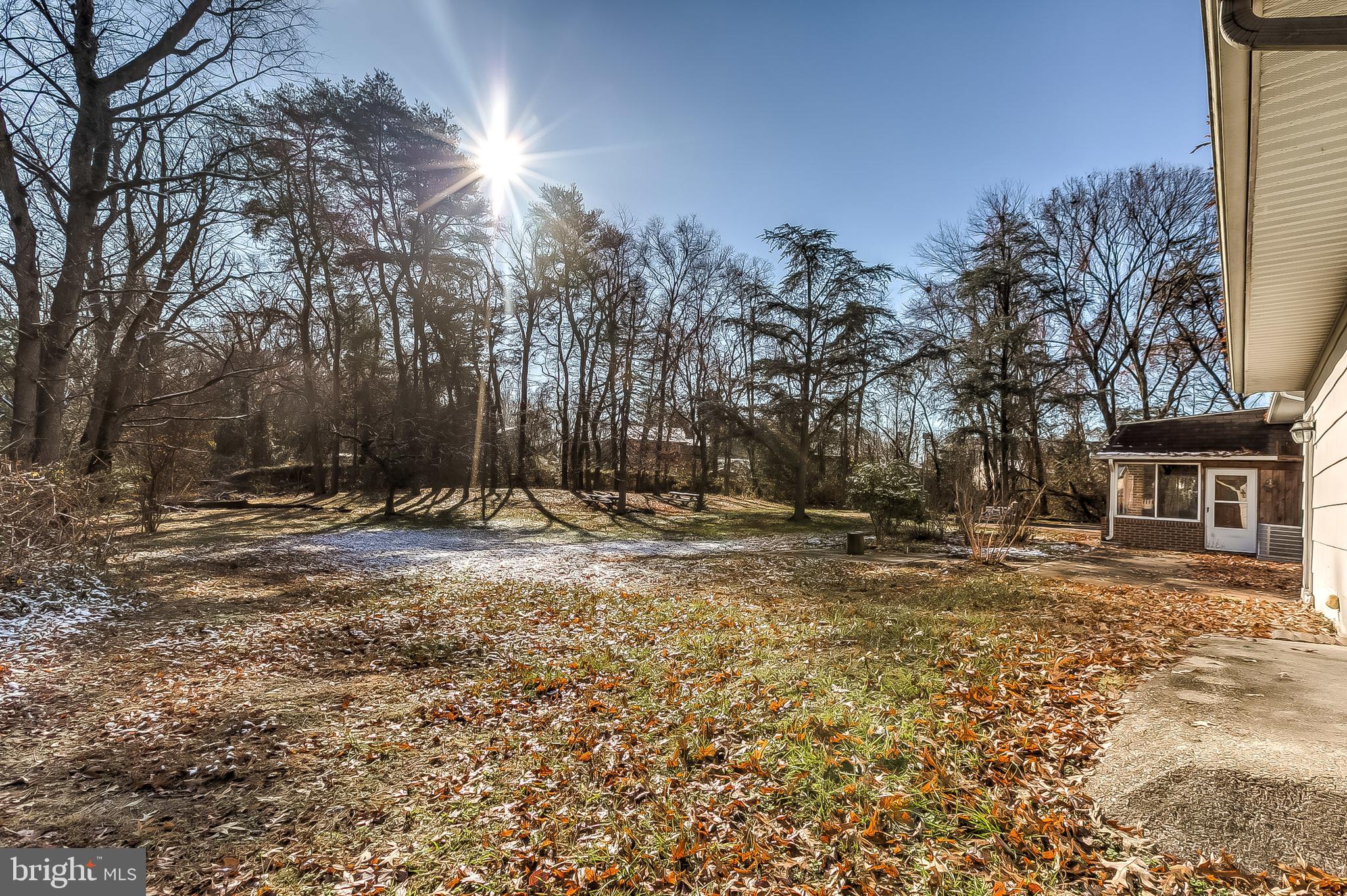 7841 Tick Neck Road Pasadena, MD 21122 - Photo 57 of 63 Large backyard