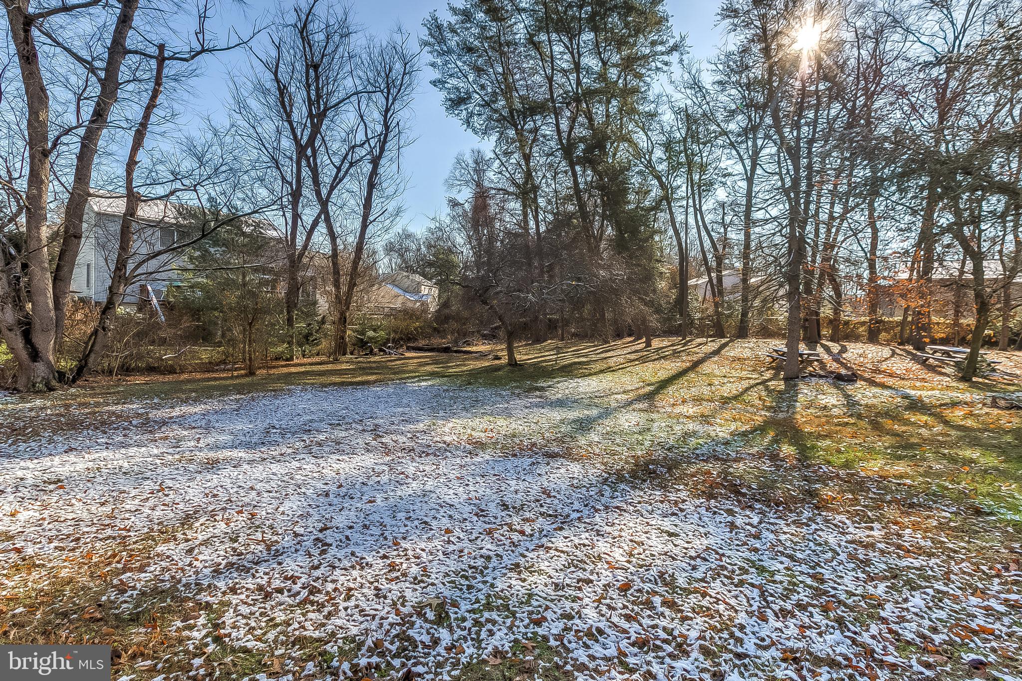 7841 Tick Neck Road Pasadena, MD 21122 - Photo 58 of 63 Large backyard