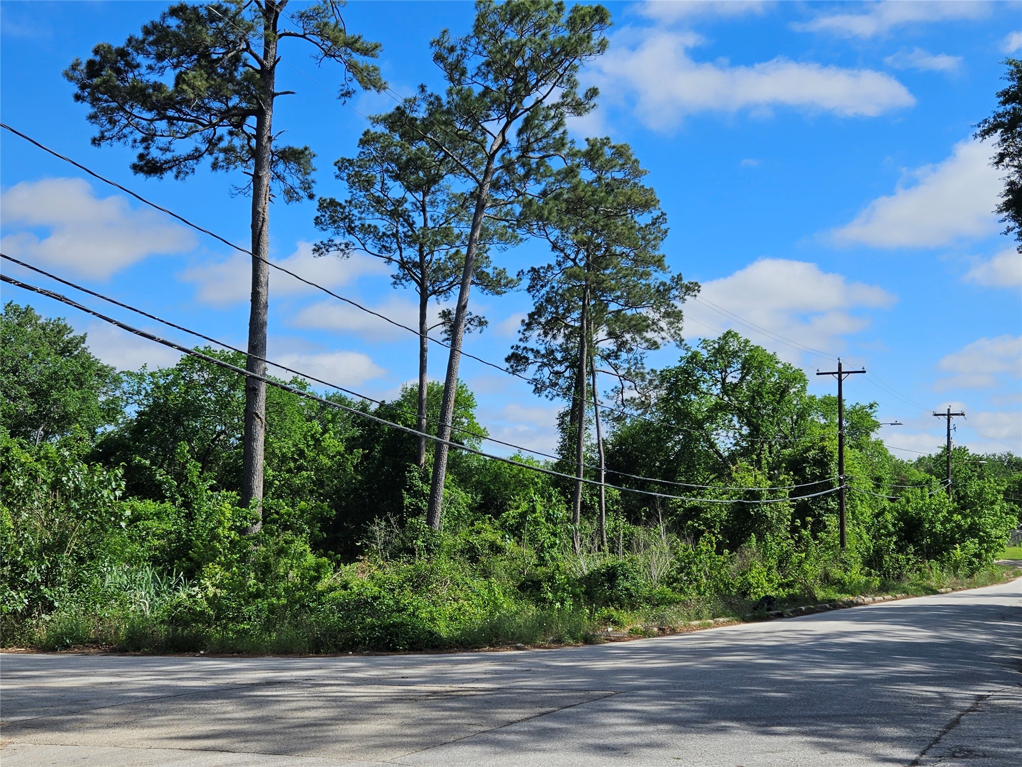 0 Snowden Street Houston, TX 77028 - Photo 2 of 6 a view of a garden