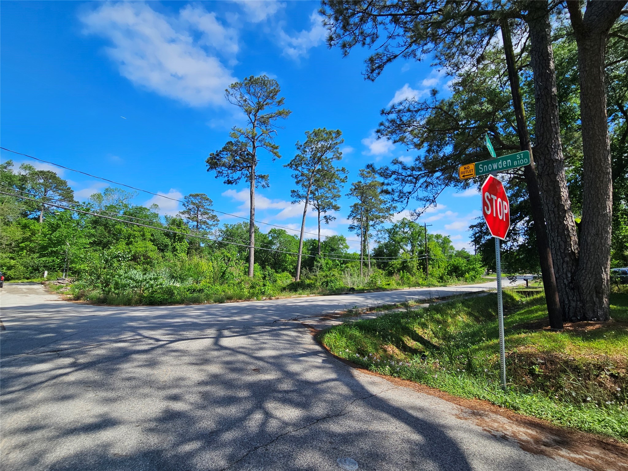 0 Snowden Street Houston, TX 77028 - Photo 3 of 6 a view of a garden with a pathway