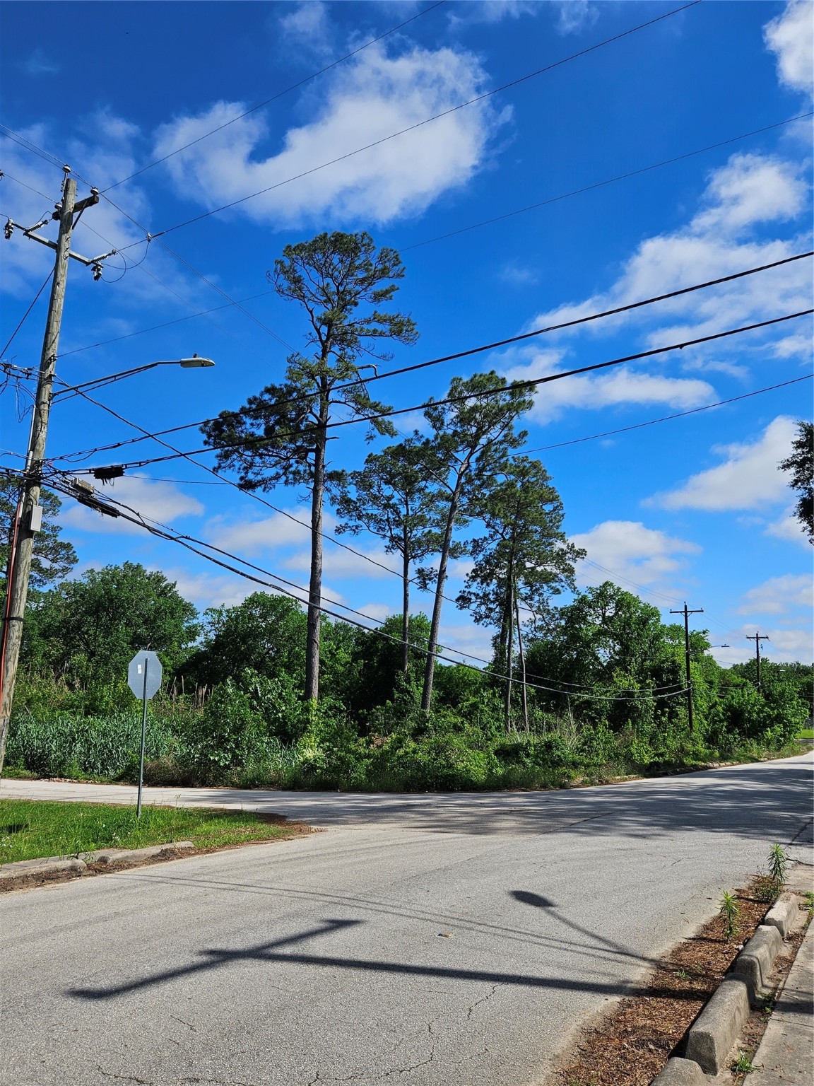 0 Snowden Street Houston, TX 77028 - Photo 6 of 6 a view of a house with a yard