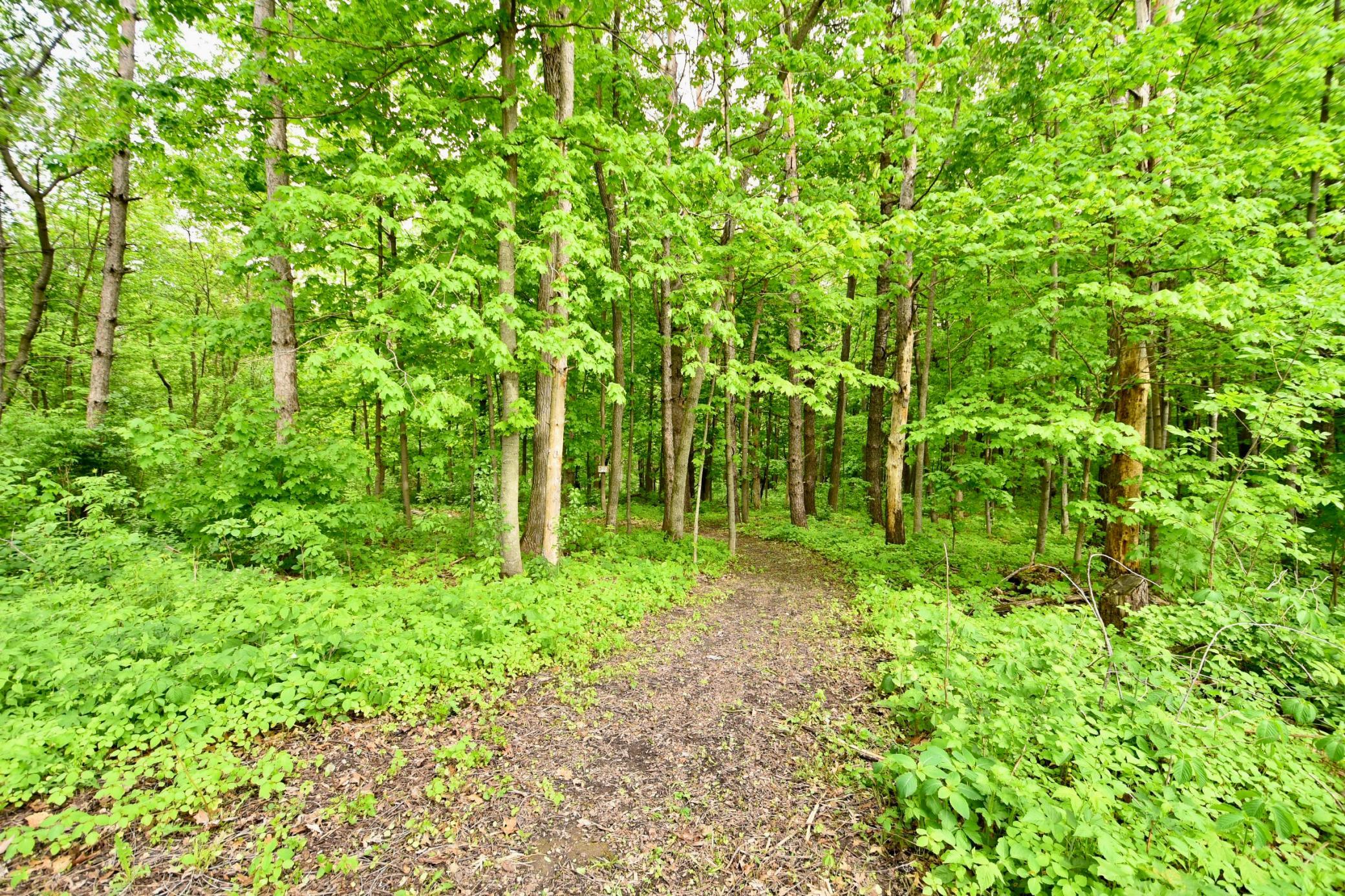 30300 County 1 Stewartville, MN 55976 - Photo 38 of 45