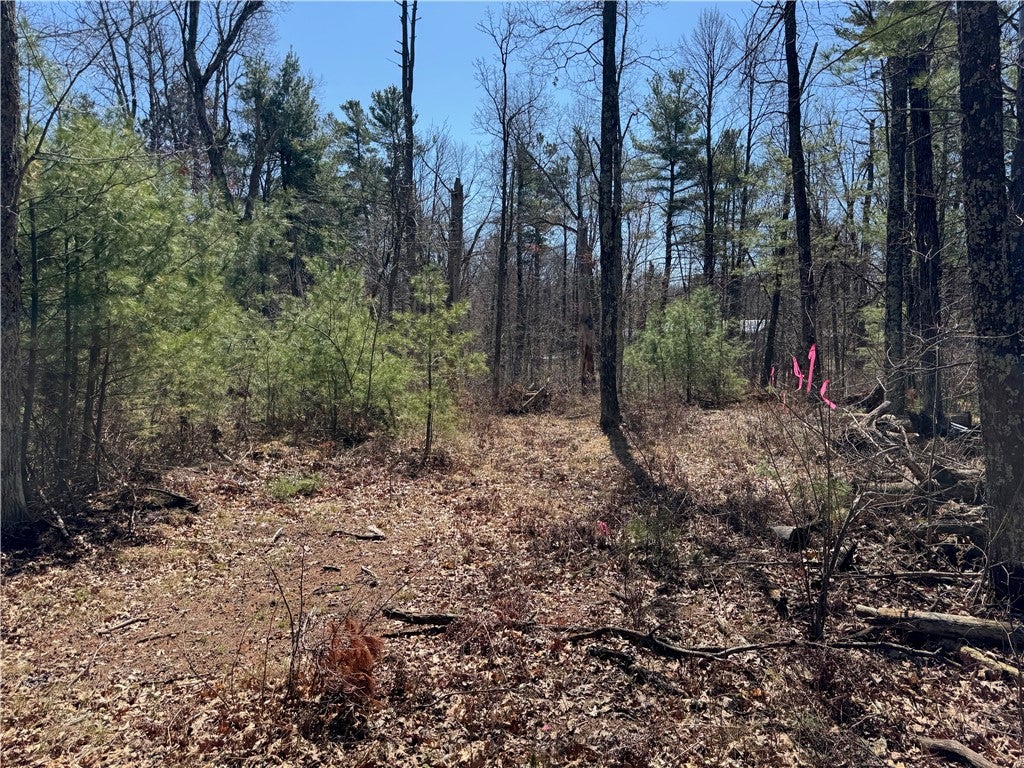 Lot 1 Gurno Lake Road Hayward, WI 54843 - Photo 16 of 29 Gallery Image 16