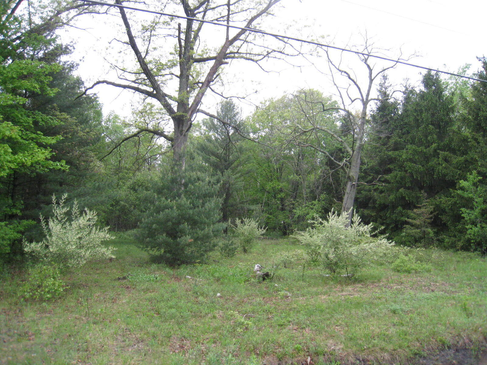 2311 Simonelli Road Muskegon, MI 49445 - Photo 2 of 3 IMG_1171