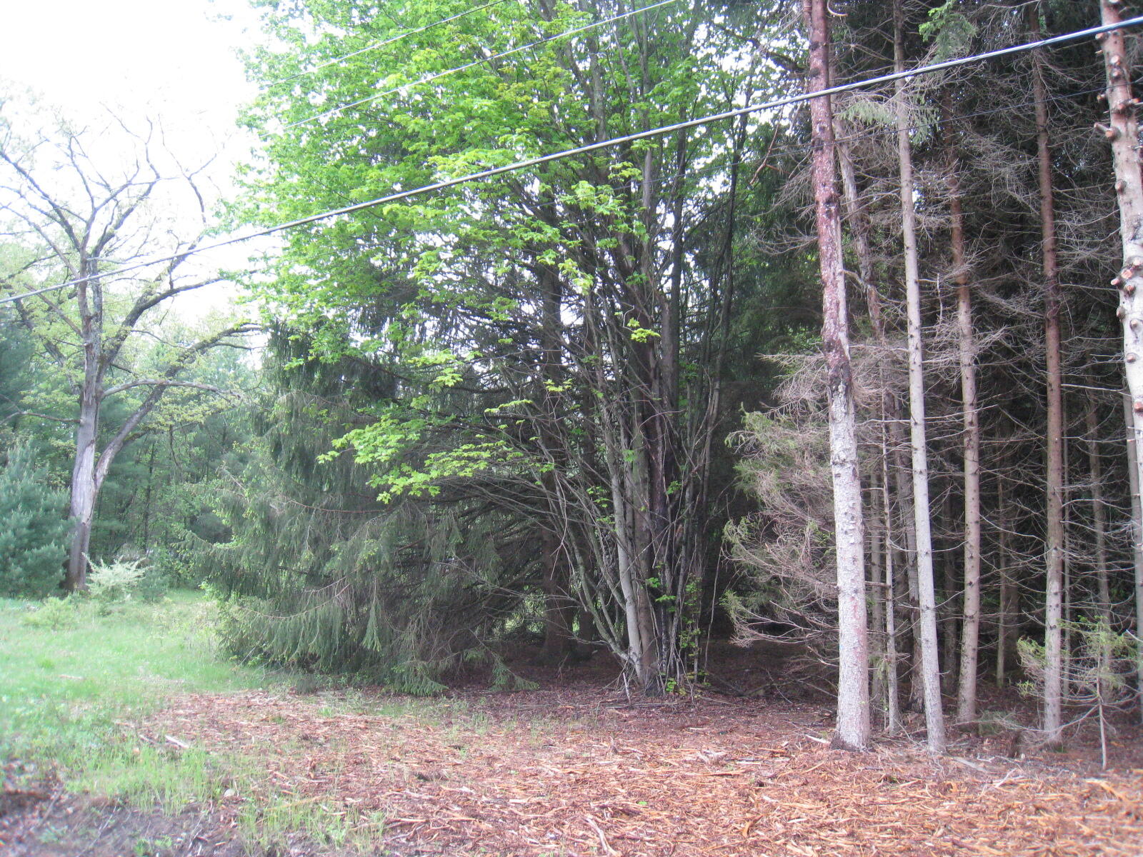 2311 Simonelli Road Muskegon, MI 49445 - Photo 3 of 3 IMG_1170