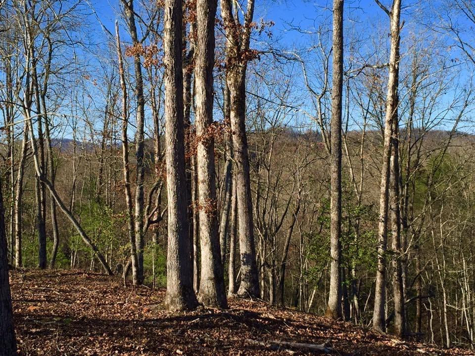 Lot #94 River Mountain Road Murphy, NC 28906 - Photo 3 of 12