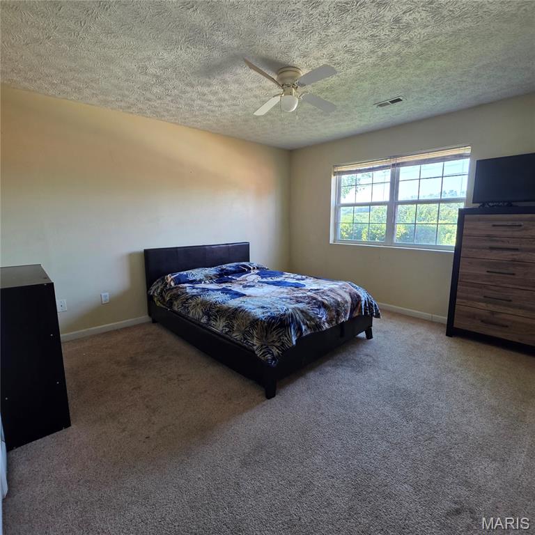 22245 Target Lane St. Robert, MO 65584 - Photo 39 of 62